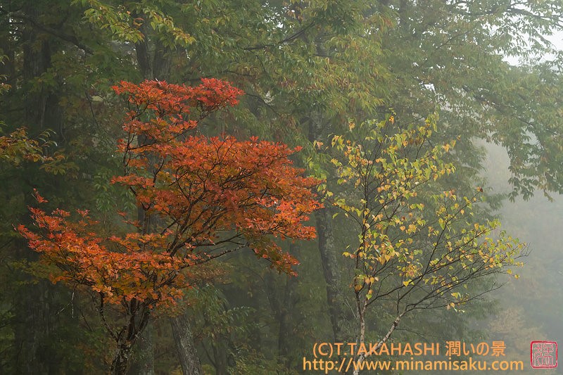 ../Images/7R251026 (24).jpg